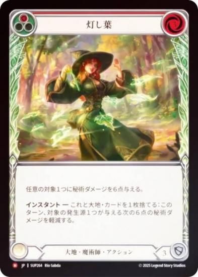 ڥ쥤ܡFOILۥեå֥å SUP JP 264  (ܸ M ޥƥå) Ʈ