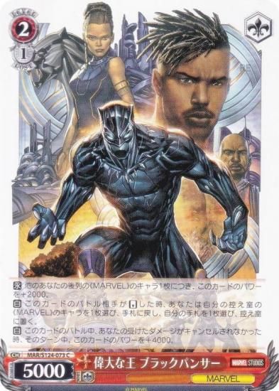  MAR/S124-073 ʲ ֥åѥ󥵡 (C )