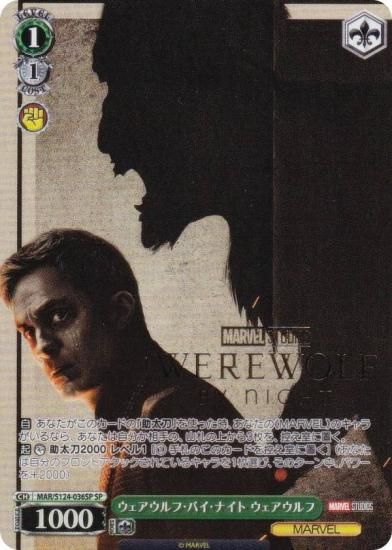  MAR/S124-036SP աХʥ  (SP ڥ)