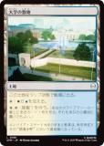 ޥå㥶 SPM JP 0186 ؤ (ܸ ) (MTG)