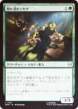FOILۥޥå㥶 SPM JP 0107 ȥ (ܸ ) (MTG)