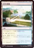 FOILۥޥå㥶 SPM JP 0186 ؤ (ܸ ) (MTG)