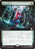 FOIL/ĥǡۥޥå㥶 SPM JP 0267 ջ֤Ӥ (ܸ 쥢) (MTG)