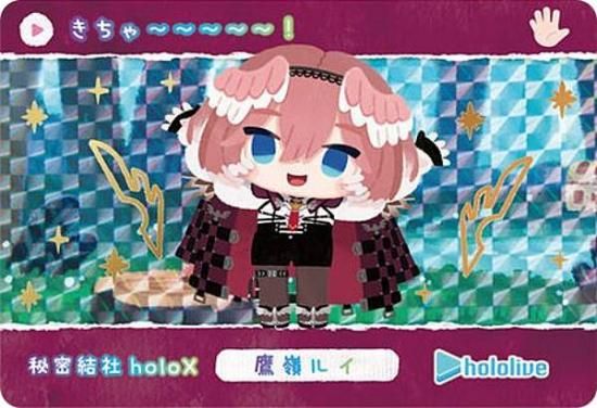 [⿧] 륤 (P ѥ)ۥɥ hololive Vol.6