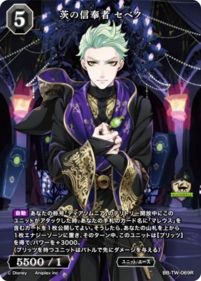 ӥǥХTCG ֥饤 BB-TW-069R ο ٥ (R 쥢)