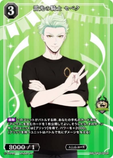 ӥǥХTCG ֥饤 BB-TW-070SR ε ٥ (SR ѡ쥢)