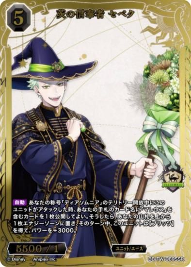 ڶ󲡤/ѥۥӥǥХTCG ֥饤 BB-TW-069SSR ο ٥ (SSR ڥ륹ѡ쥢)