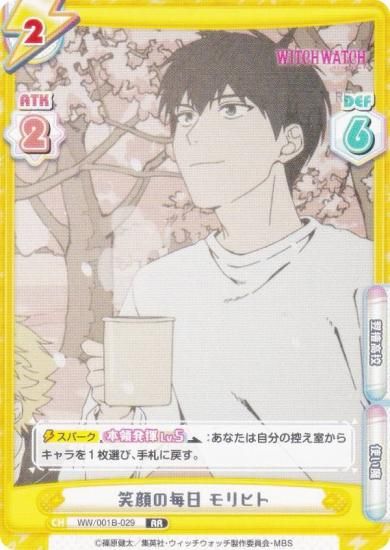 ReС WW/001B-029 д ҥ (RR ֥쥢) ֡ѥå TV˥ åå