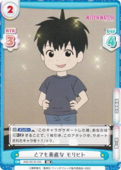 ReС WW/001B-030 ȤƤľ ҥ (RR ֥쥢) ֡ѥå TV˥ åå