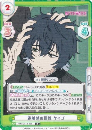 ReС WW/001B-055 Υ  (R 쥢) ֡ѥå TV˥ åå