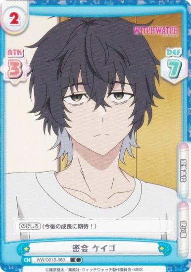 ReС WW/001B-060 ̩  (C ) ֡ѥå TV˥ åå