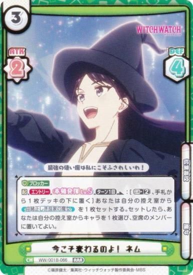 ReС WW/001B-066 ѤΤ衪 ͥ (RRR ȥץ쥢) ֡ѥå TV˥ åå