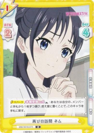 ReС WW/001B-073 ƤӤˬ ͥ (R 쥢) ֡ѥå TV˥ åå