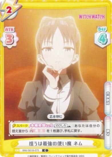 ReС WW/001B-075 ϺǶλȤ ͥ (C ) ֡ѥå TV˥ åå