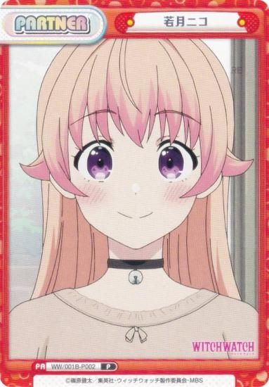 ReС WW/001B-P002 ˥ (P ѡȥʡ) ֡ѥå TV˥ åå