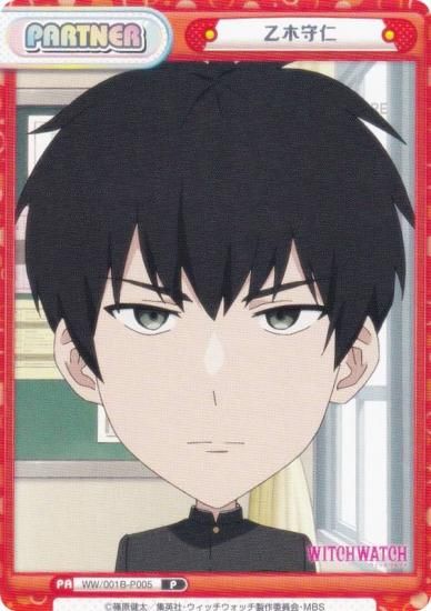 ReС WW/001B-P005 ڼ (P ѡȥʡ) ֡ѥå TV˥ åå