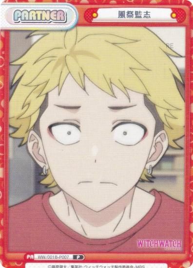 ReС WW/001B-P007 ״ƻ (P ѡȥʡ) ֡ѥå TV˥ åå