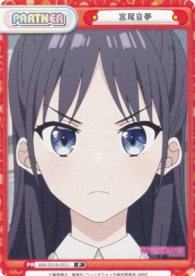 ReС WW/001B-P011 ̴ (P ѡȥʡ) ֡ѥå TV˥ åå