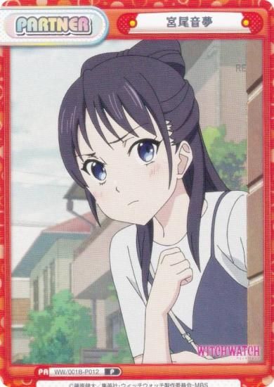 ReС WW/001B-P012 ̴ (P ѡȥʡ) ֡ѥå TV˥ åå