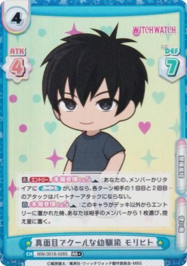 ڥѥReС WW/001B-028S ܤǥ ҥ (RR ֥쥢) ֡ѥå TV˥ åå