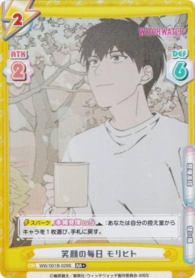 ڥѥReС WW/001B-029S д ҥ (RR ֥쥢) ֡ѥå TV˥ åå