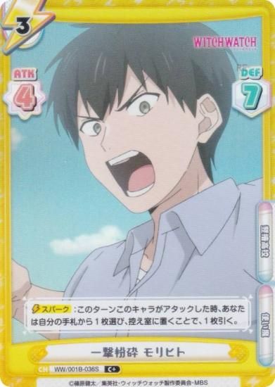 ڥѥReС WW/001B-036S ʴ ҥ (C ) ֡ѥå TV˥ åå