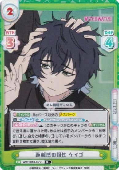 ڥѥReС WW/001B-055S Υ  (R 쥢) ֡ѥå TV˥ åå