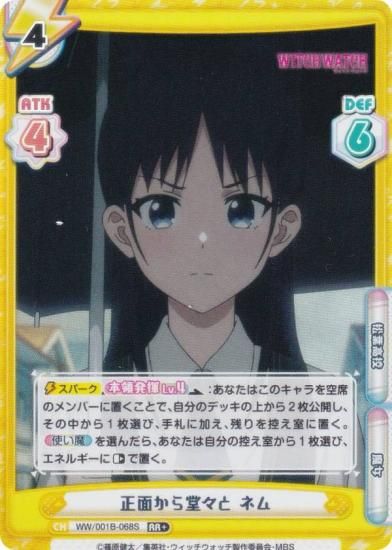 ڥѥReС WW/001B-068S ̤Ʋ ͥ (RR ֥쥢) ֡ѥå TV˥ åå