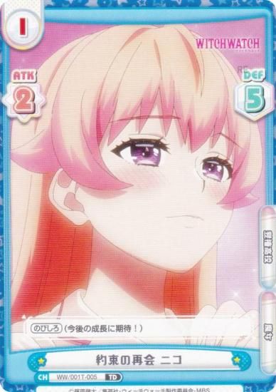 ReС WW/001T-005 «κƲ ˥ (TD) ȥ饤륻å TV˥ åå