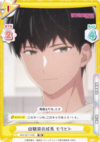 ReС WW/001T-009 Ĺ ҥ (TD) ȥ饤륻å TV˥ åå