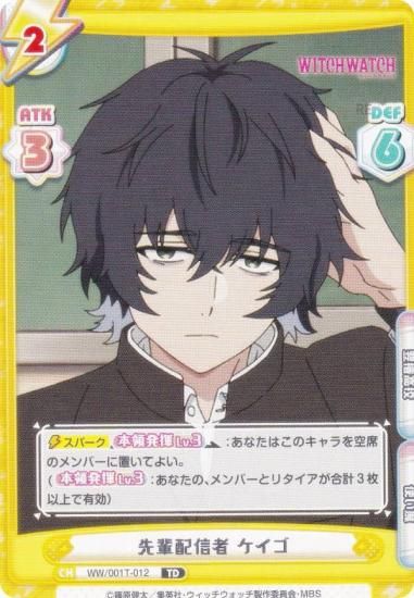 ReС WW/001T-012 ۿ  (TD) ȥ饤륻å TV˥ åå