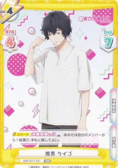 ReС WW/001T-021 ϵ  (TDR ȥ饤ǥå쥢) ȥ饤륻å TV˥ åå