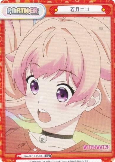 ReС WW/001T-P001 ˥ (TD) ȥ饤륻å TV˥ åå