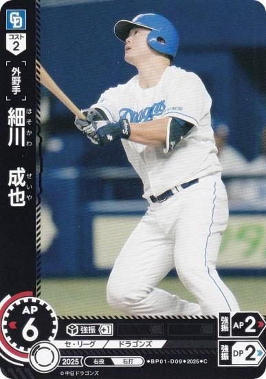 ɥ꡼४ BP01-D09  ɥ饴 (C ) 12ĥ֡ HEROES of 2025