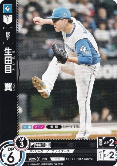 ɥ꡼४ BP01-F05 ܡ ̳ƻܥϥե (C ) 12ĥ֡ HEROES of 2025