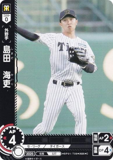 ɥ꡼४ BP01-T09 ġ  (C ) 12ĥ֡ HEROES of 2025