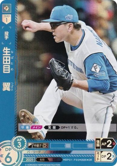 ڥѥۥɥ꡼४ BP01-F05 ܡ ̳ƻܥϥե (OR ꥸʥ쥢) 12ĥ֡ HEROES of 2025