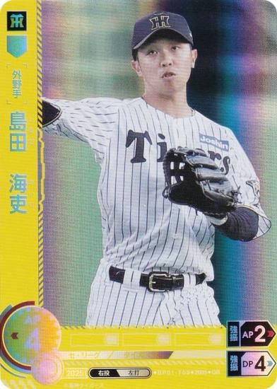 ڥѥۥɥ꡼४ BP01-T09 ġ  (OR ꥸʥ쥢) 12ĥ֡ HEROES of 2025