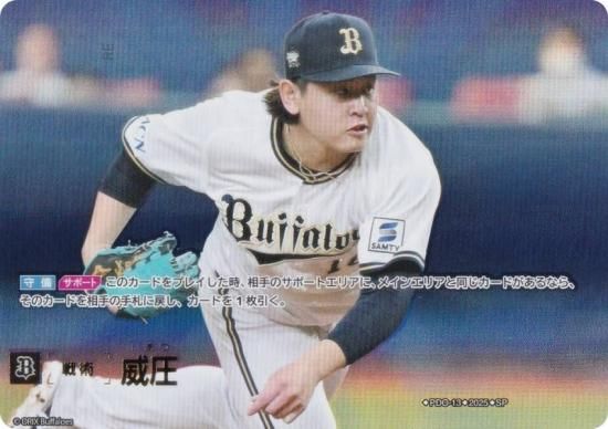 ڥڥѥۥɥ꡼४ BP01/PDO-13 Ұ åХե (SP ڥ) 12ĥ֡ HEROES of 2025