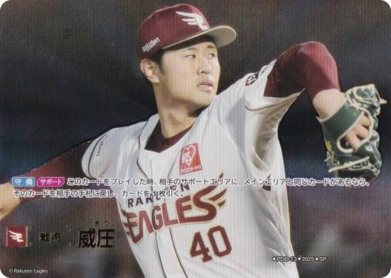 ڥڥѥۥɥ꡼४ BP01/PDO-13 Ұ ̳ŷǥ󥤡륹 (SP ڥ) 12ĥ֡ HEROES of 2025