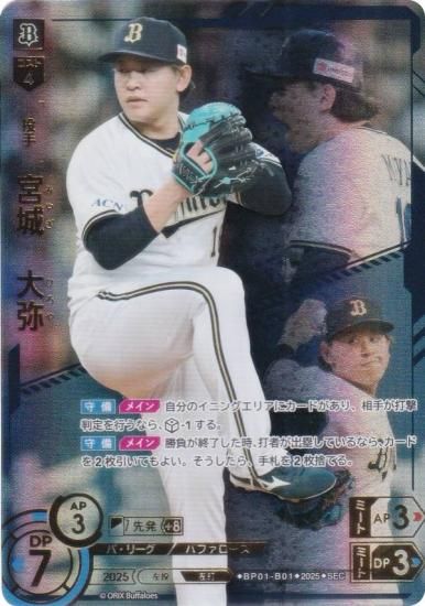 ڥڥѥۥɥ꡼४ BP01-B01 ܾ롡 åХե (SEC å) 12ĥ֡ HEROES of 2025