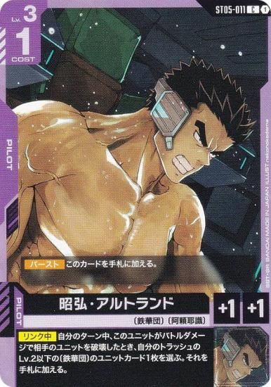 ५ɥ ST05-011 ȥ (C ) ȥǥå Iron Bloom