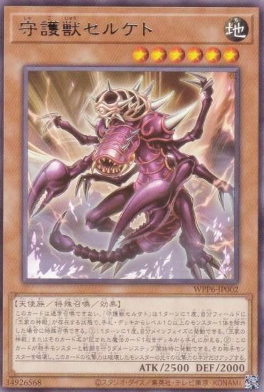 ͷ WPP6-JP002 å륱 (ܸ 쥢) WORLD PREMIERE PACK 2025