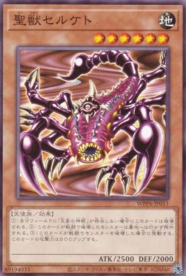 ͷ WPP6-JP011 å륱 (ܸ Ρޥ) WORLD PREMIERE PACK 2025