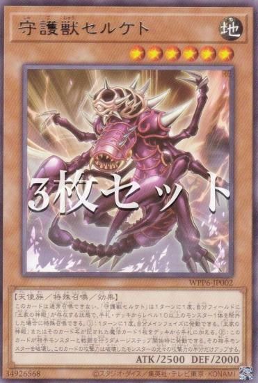 3祻åȡͷ WPP6-JP002 å륱 (ܸ 쥢) WORLD PREMIERE PACK 2025