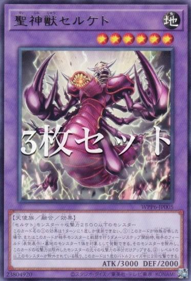 3祻åȡͷ WPP6-JP005 å륱 (ܸ 쥢) WORLD PREMIERE PACK 2025