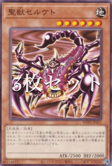 3祻åȡͷ WPP6-JP011 å륱 (ܸ Ρޥ) WORLD PREMIERE PACK 2025