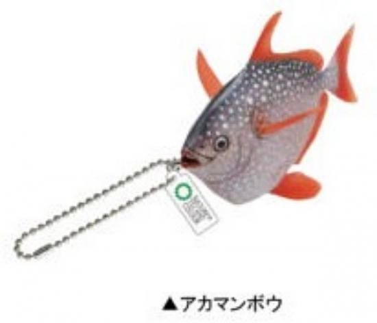 ڥޥܥۥͥ㡼ƥ˥顼MONO PLUS ʪ ޥͥå&ܡ2