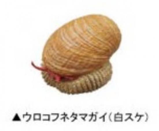 ڥեͥޥ()ۥͥ㡼ƥ˥顼MONO PLUS ʪ ޥͥå&ܡ2