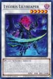 ͷ DOOD-EN087 Lycoris Lilyreaper (Ѹ 1st Edition Ρޥ)